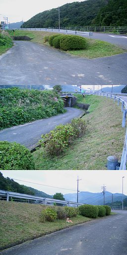 バス停付近草刈！