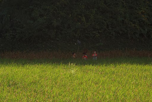 「秋影」田んぼにトンボと子供達