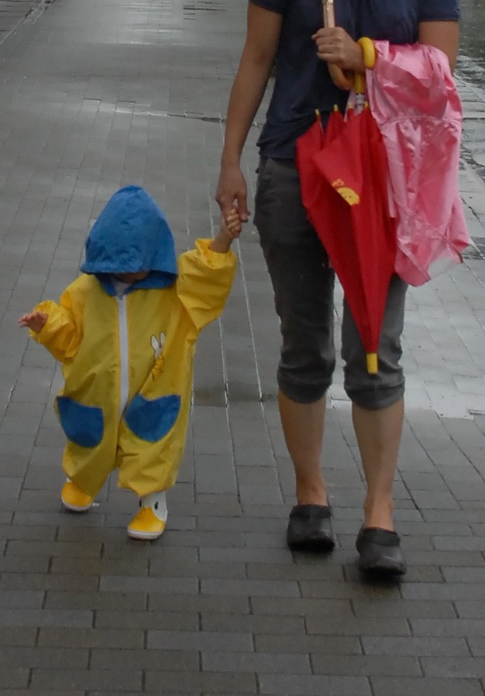 雨雨降れ降れ