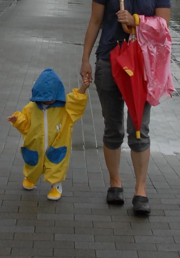 雨雨降れ降れ