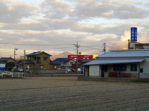 旭に