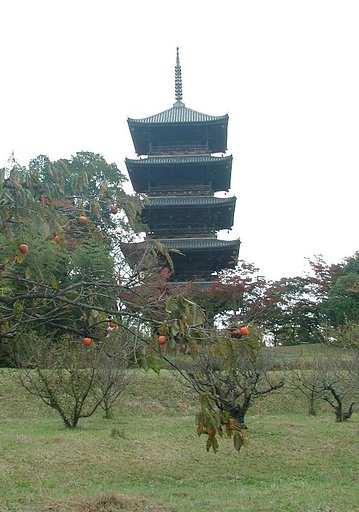 柿