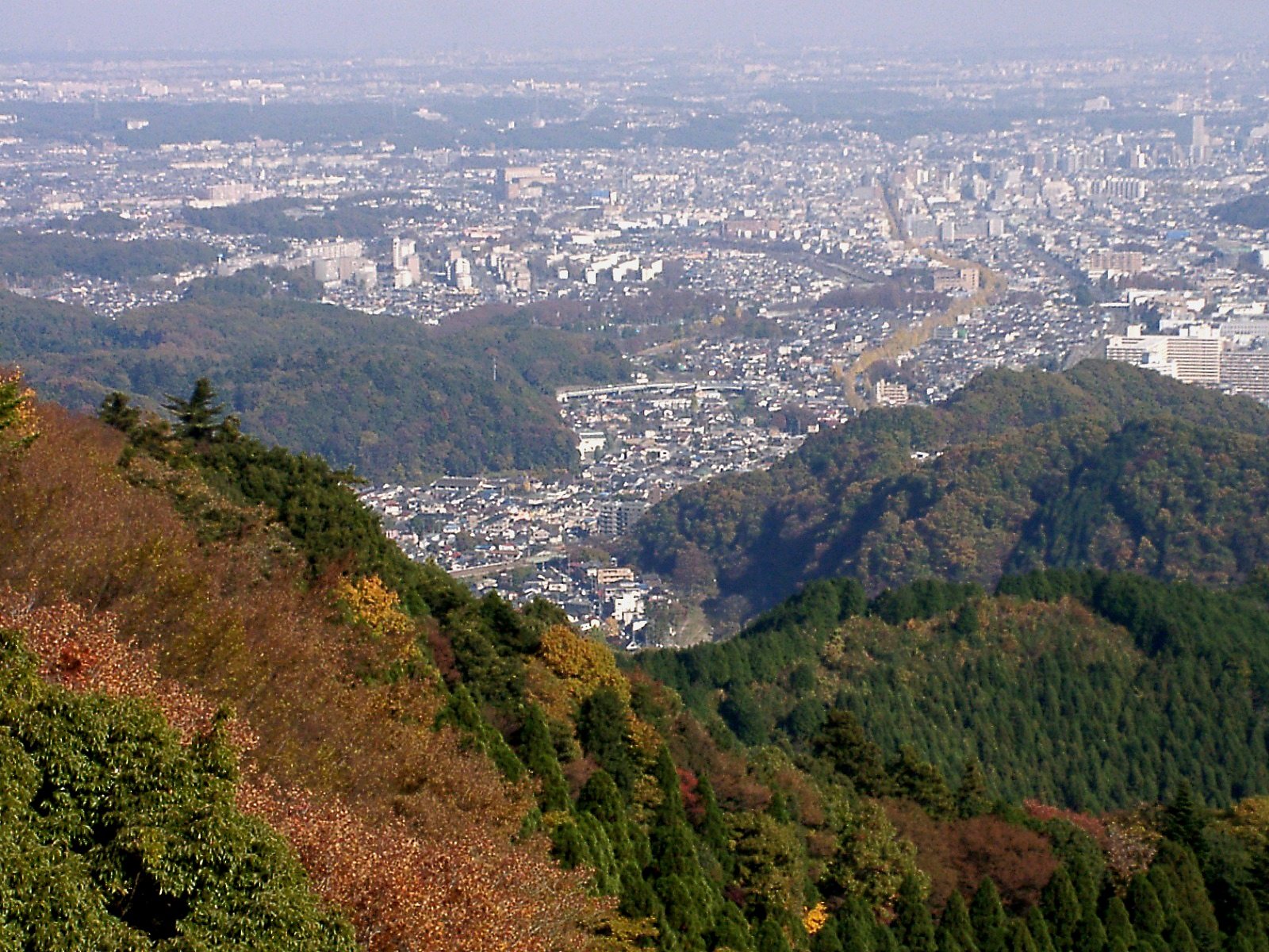 ◆紅葉スケッチ-19 高尾山⑮