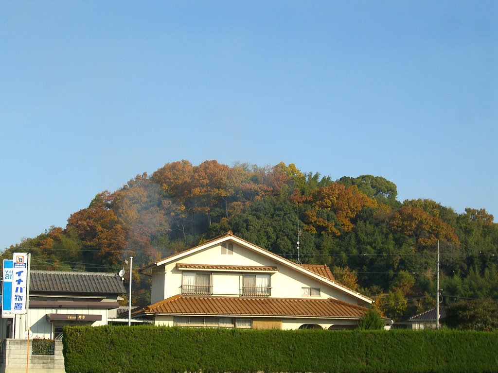快晴
