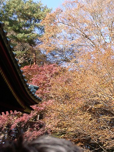 ◆紅葉スケッチ-27 高尾山(23)