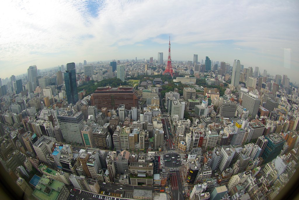 東京タワーの見える風景
