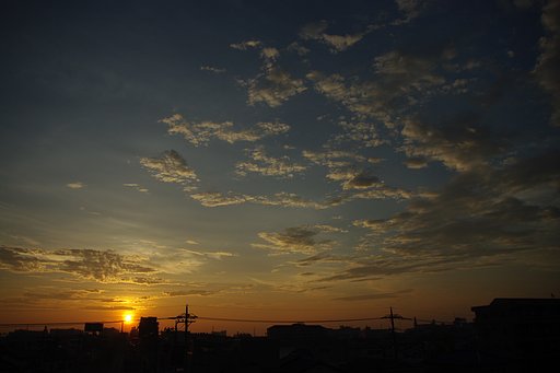 やっとこ朝日