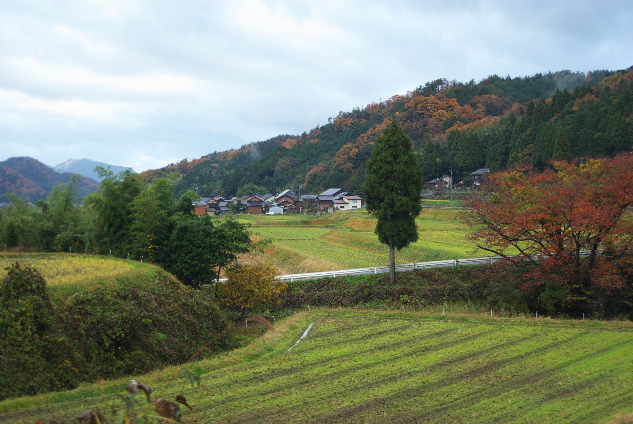 山里の秋
