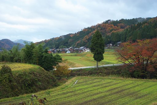山里の秋