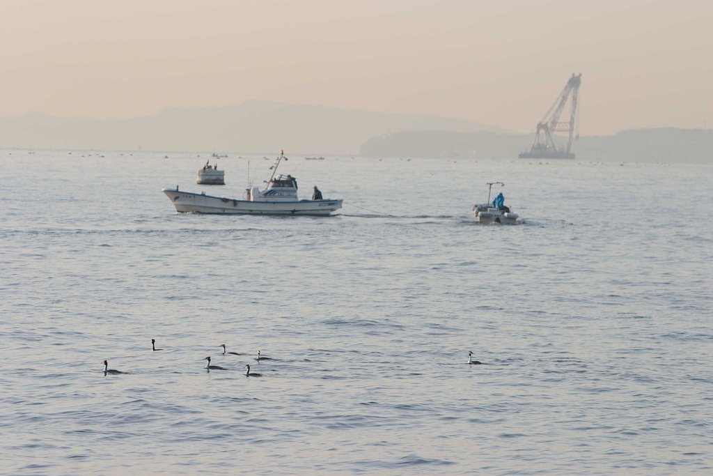 金沢区幸浦