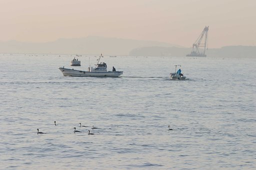 金沢区幸浦
