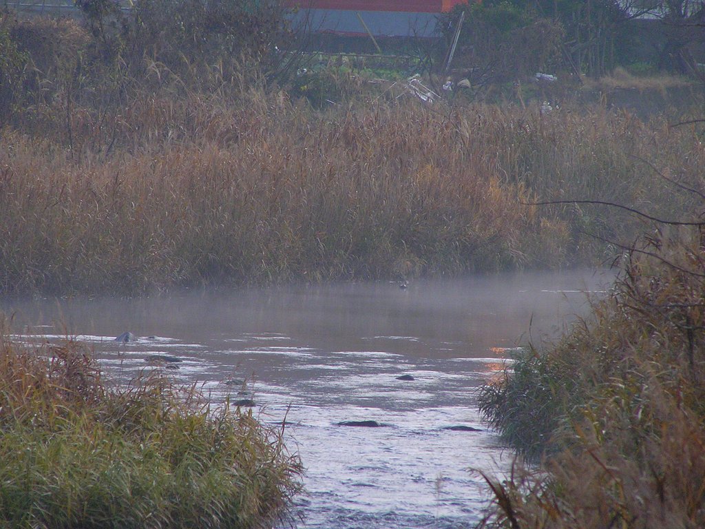 朝霧の深い蒲生川