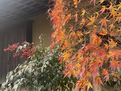 町内の赤い実(その3) ナンテン