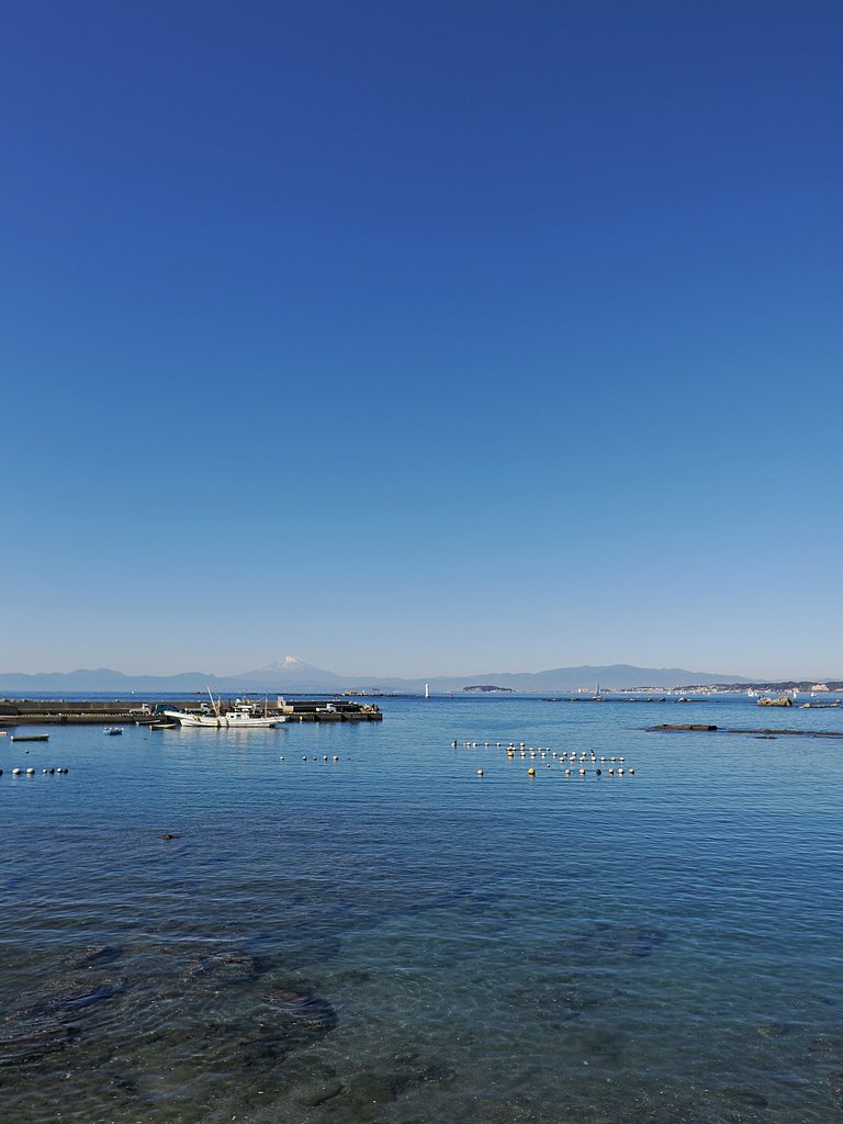 碧の世界(縦)◎SUMMILUX 12mm/F1.4