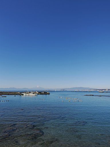 碧の世界(縦)◎SUMMILUX 12mm/F1.4
