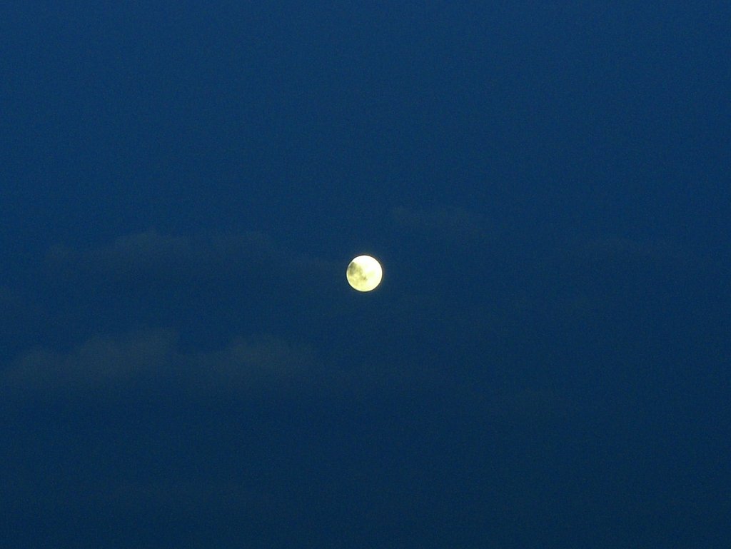 今日は満月