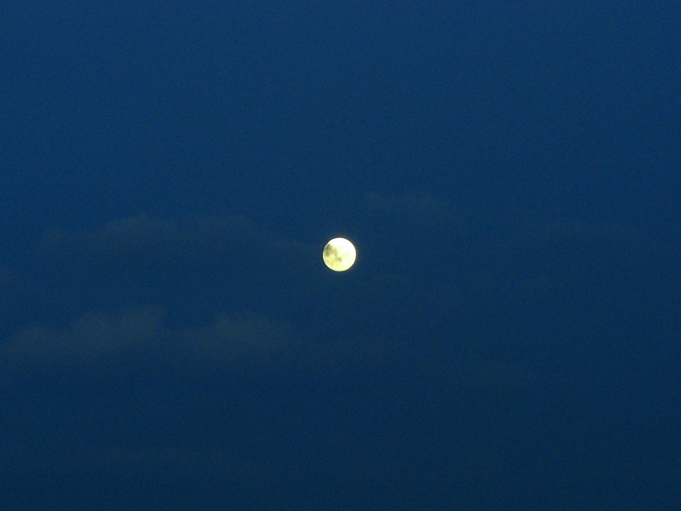 今日は満月