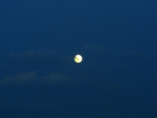 今日は満月