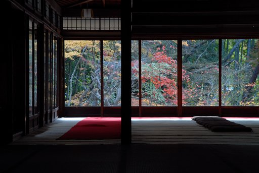 晩秋の京都から