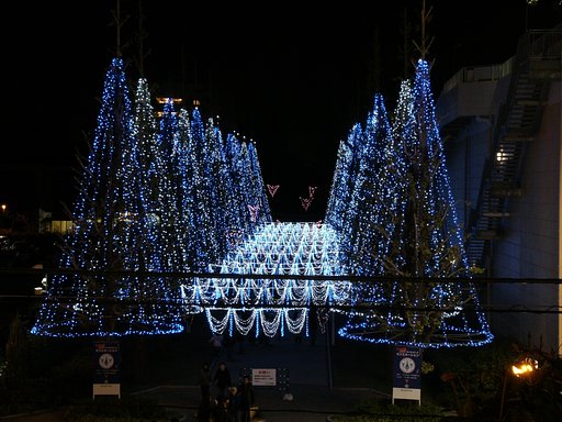 モールのクリスマス商戦（2）