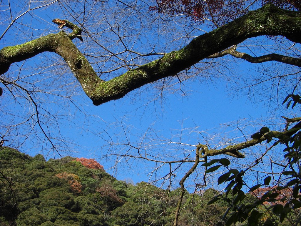 晩秋の景色