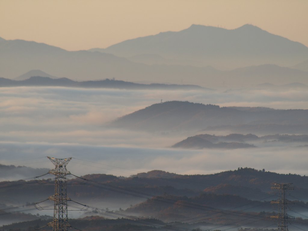 陸の浮島