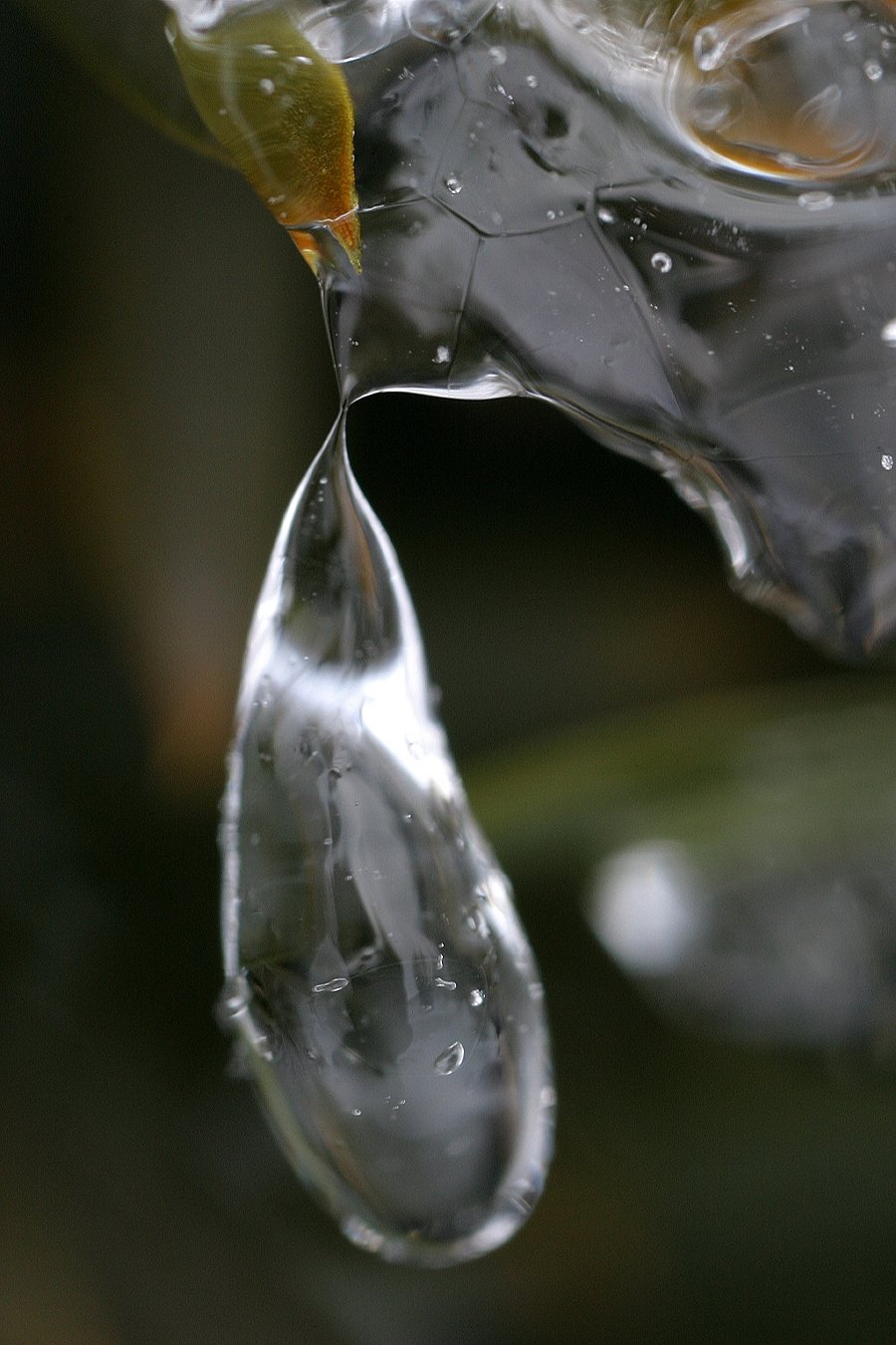 氷の線香花火