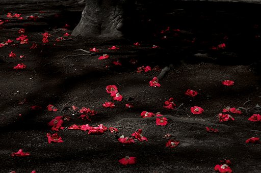 赤の記憶