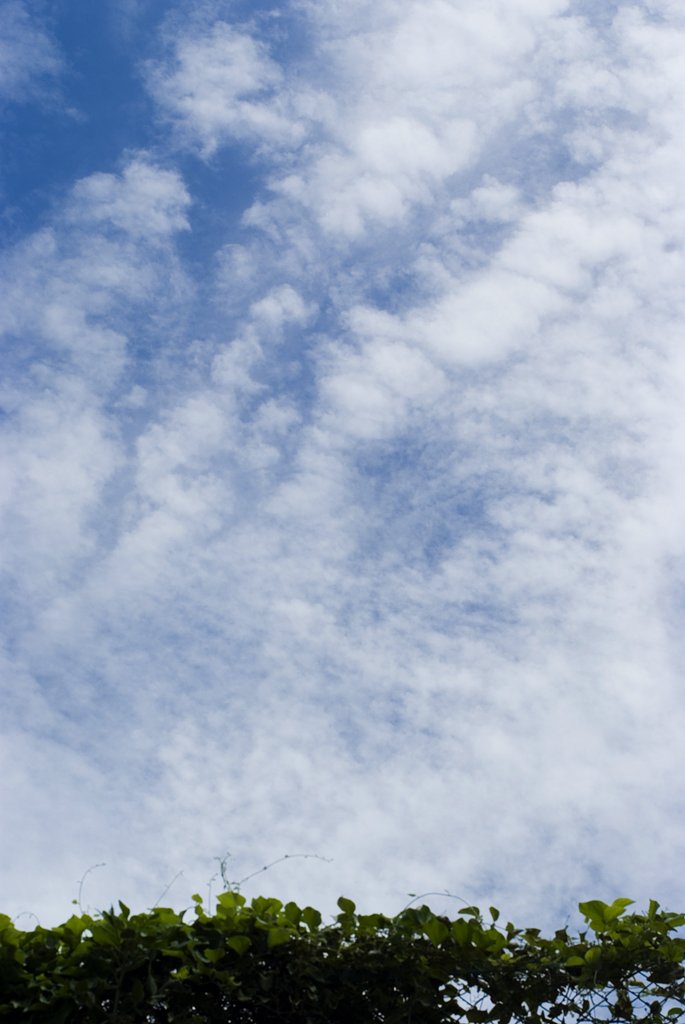 つかの間の青空