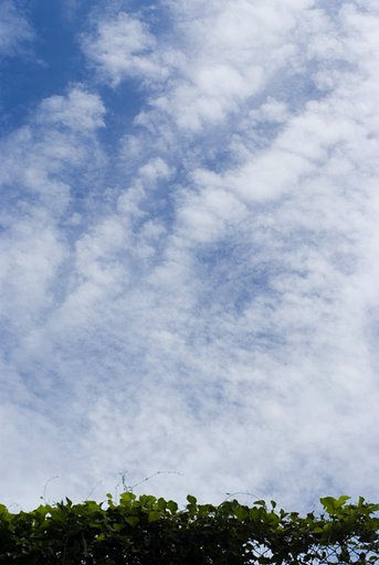 つかの間の青空