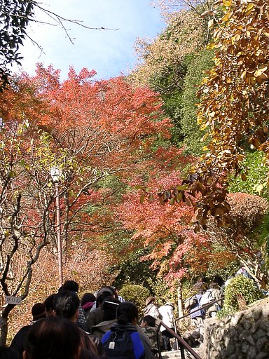 ◆紅葉スケッチ-07 高尾山③