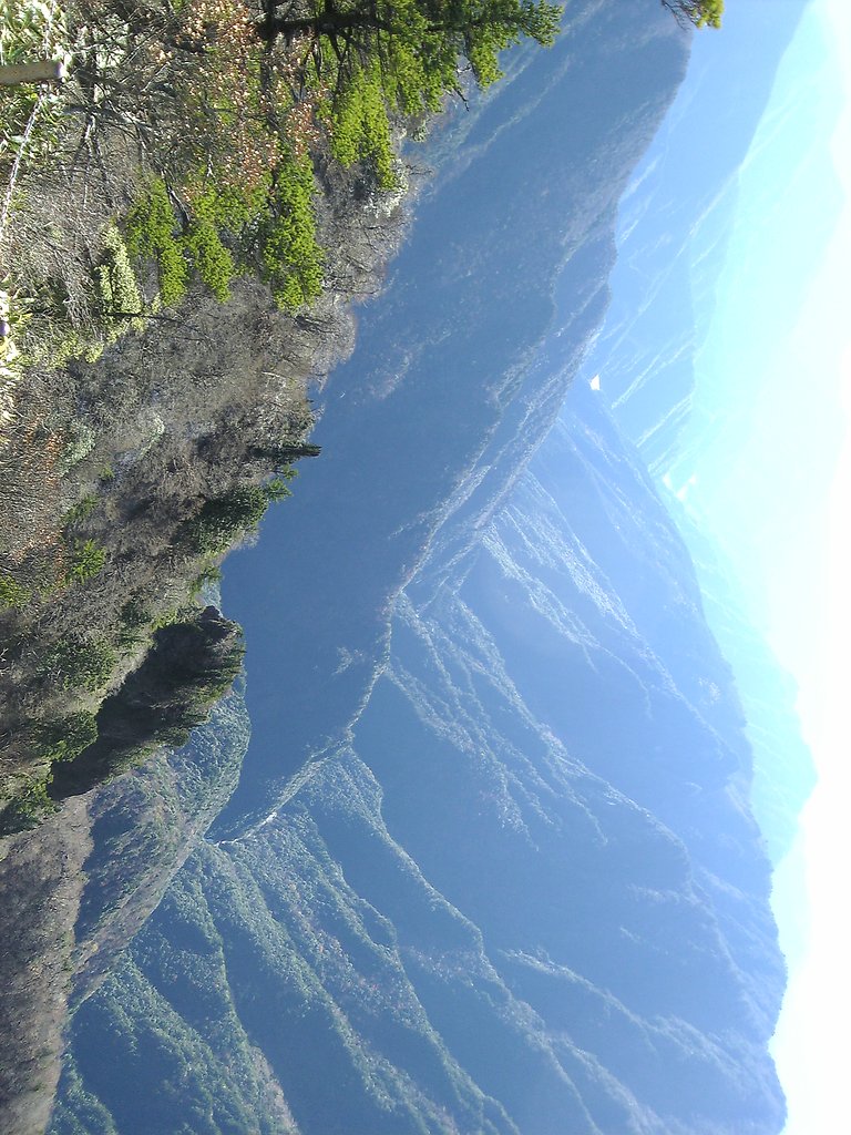 近畿の屋根　大台ケ原
