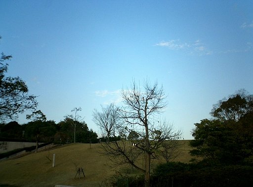 冬枯れの景色
