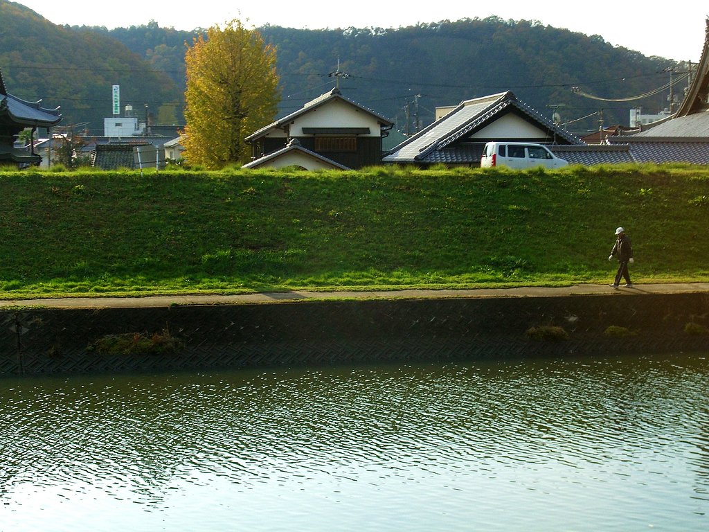 秋の散歩道