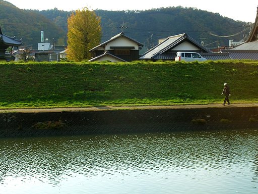 秋の散歩道