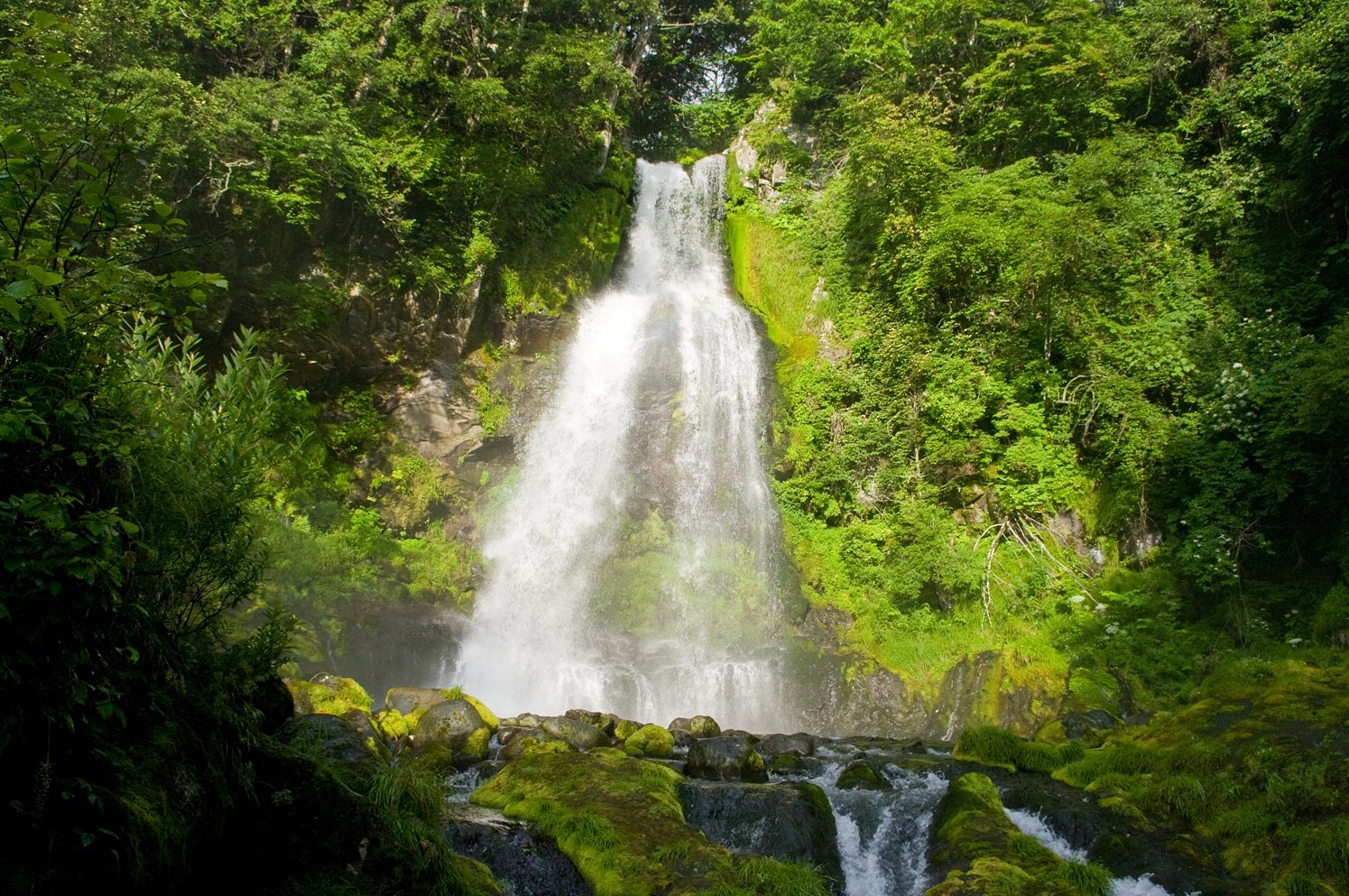 尾の島の滝