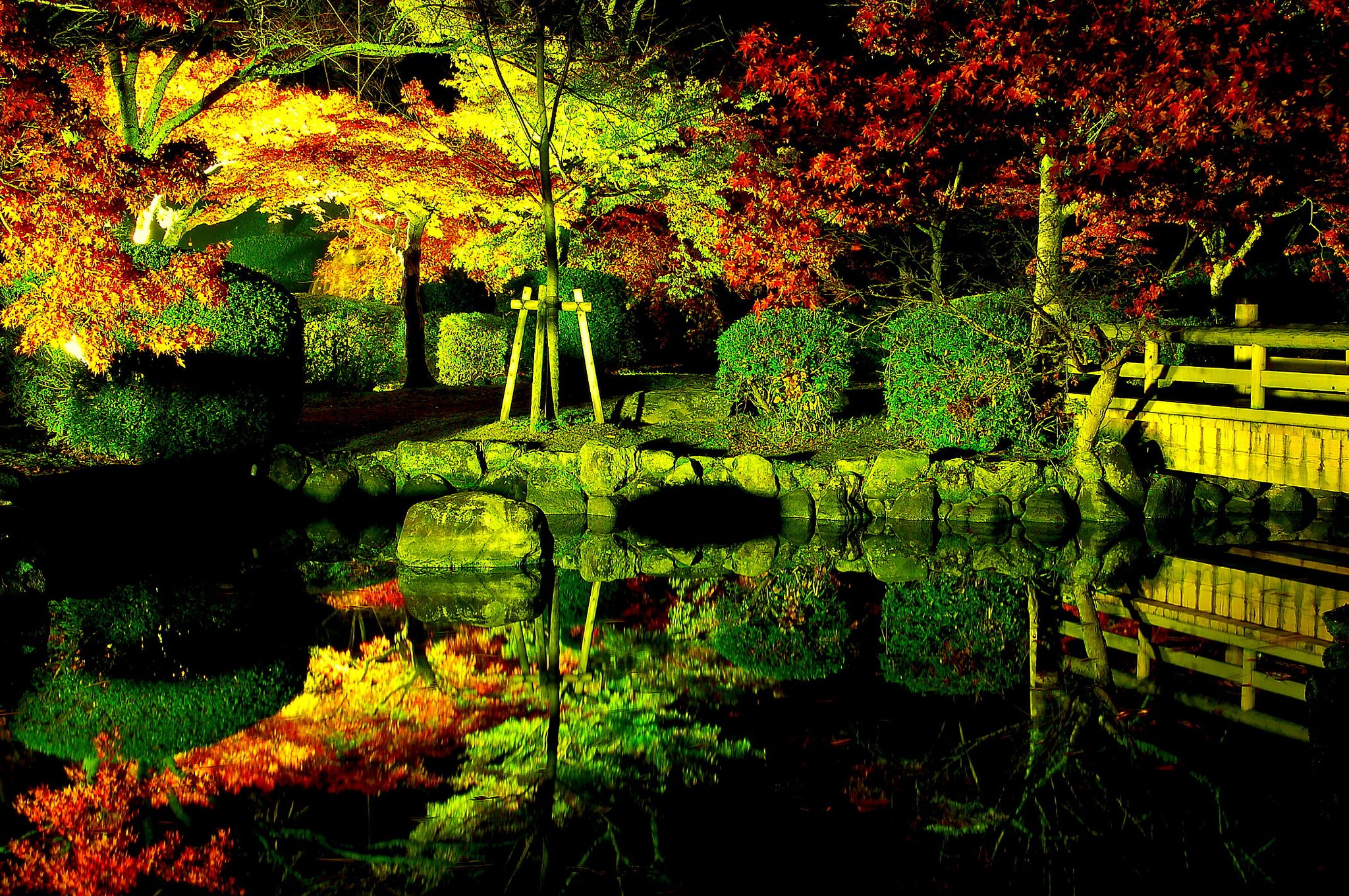 光と紅葉
