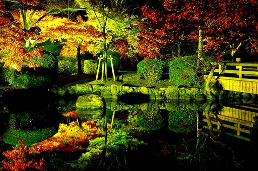 光と紅葉