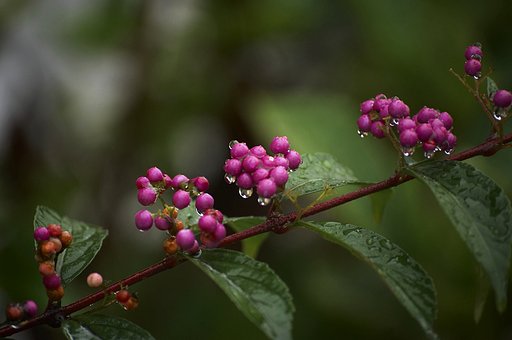 「秋影」　滴