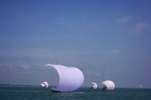 霞ヶ浦名物・・・