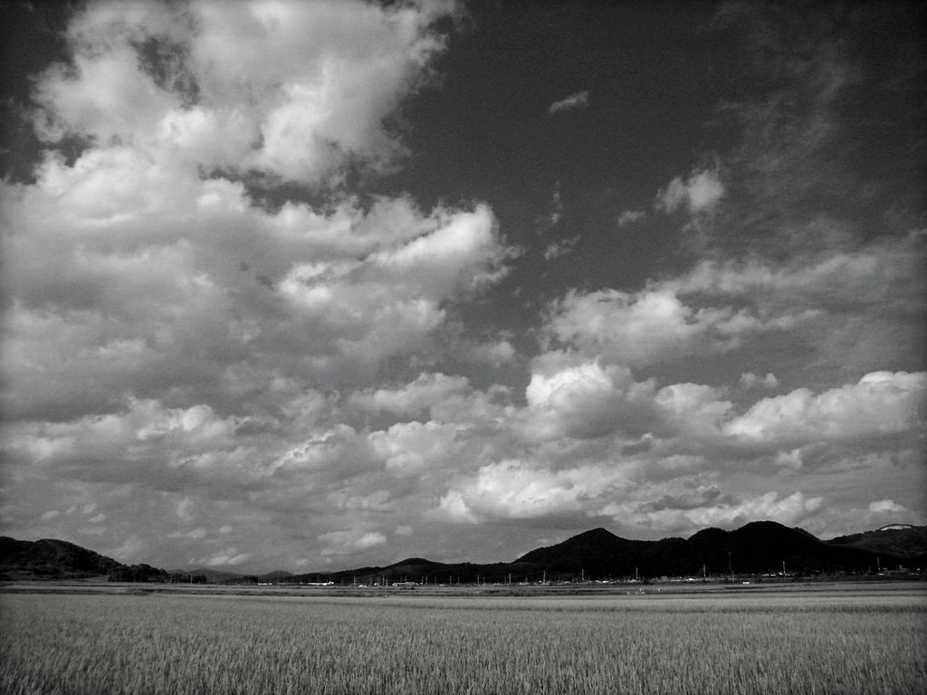赤フィルター的空