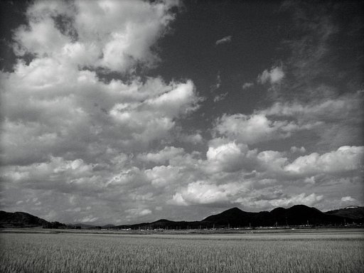 赤フィルター的空