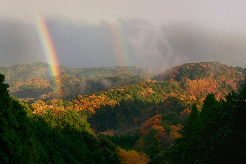 忙しい天気と紅葉