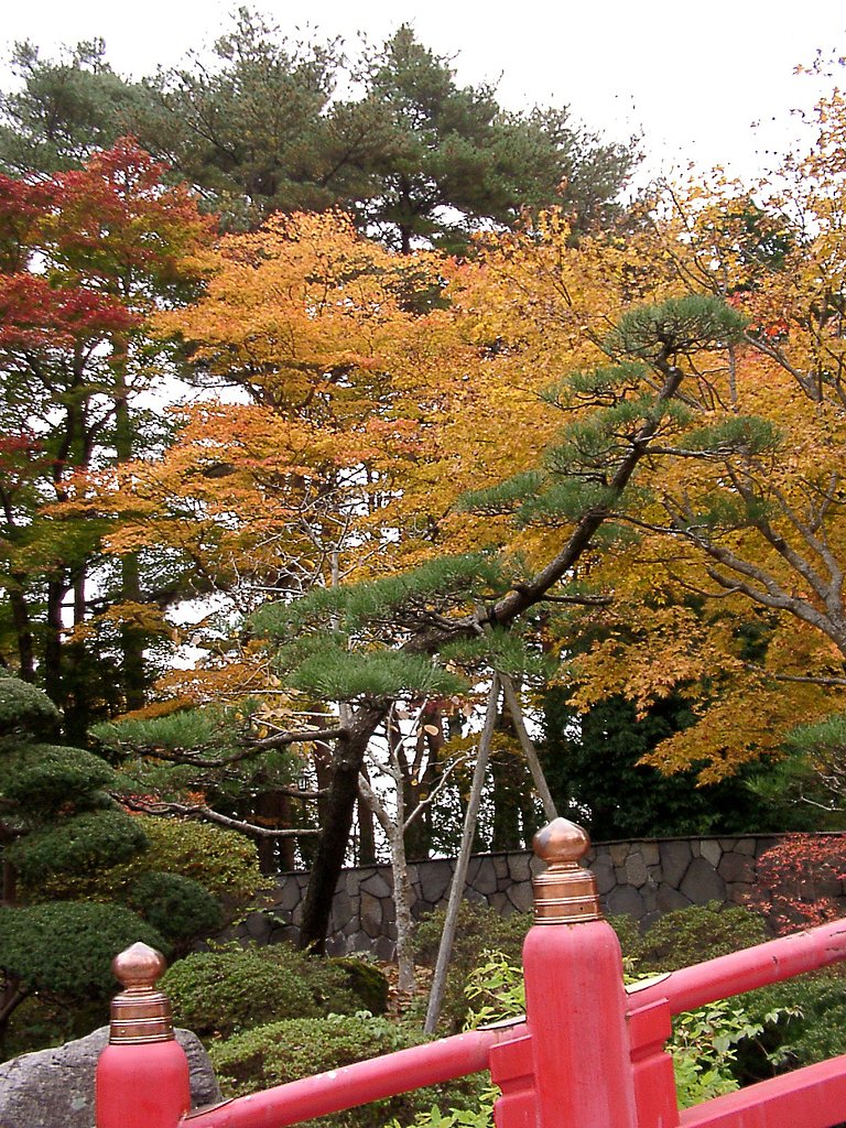 ◆紅葉スケッチ-04 仙台城跡④止