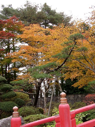 ◆紅葉スケッチ-04 仙台城跡④止