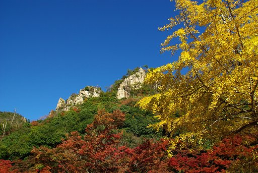 豪渓