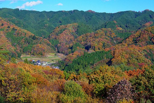 山里