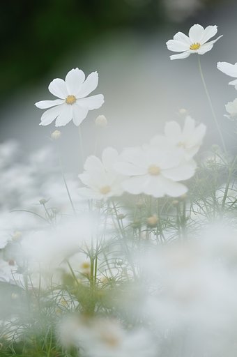 優しさ