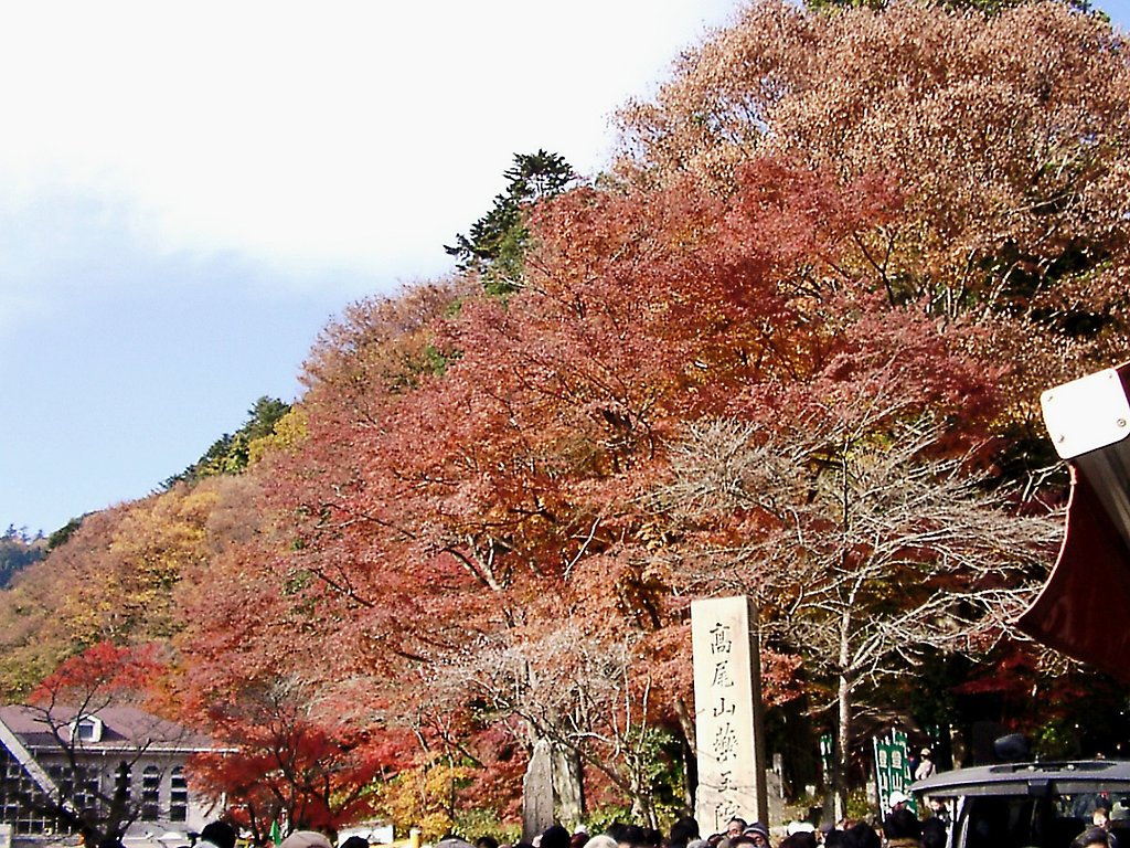 ◆紅葉スケッチ-05 高尾山①