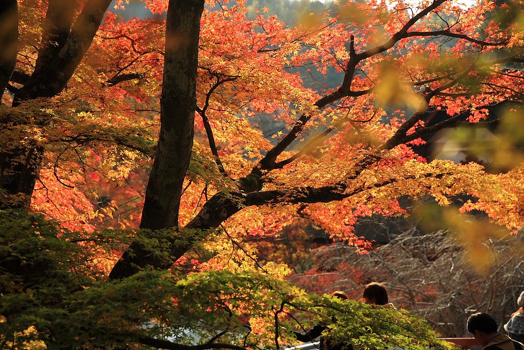 談山神社